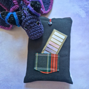 Pochette Esprit Rebelle